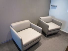 R7617 - Bernhardt Gaia Lounge Chairs