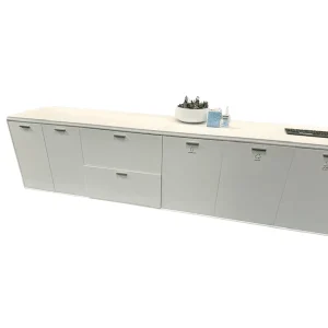 Credenza with Recycling Center
